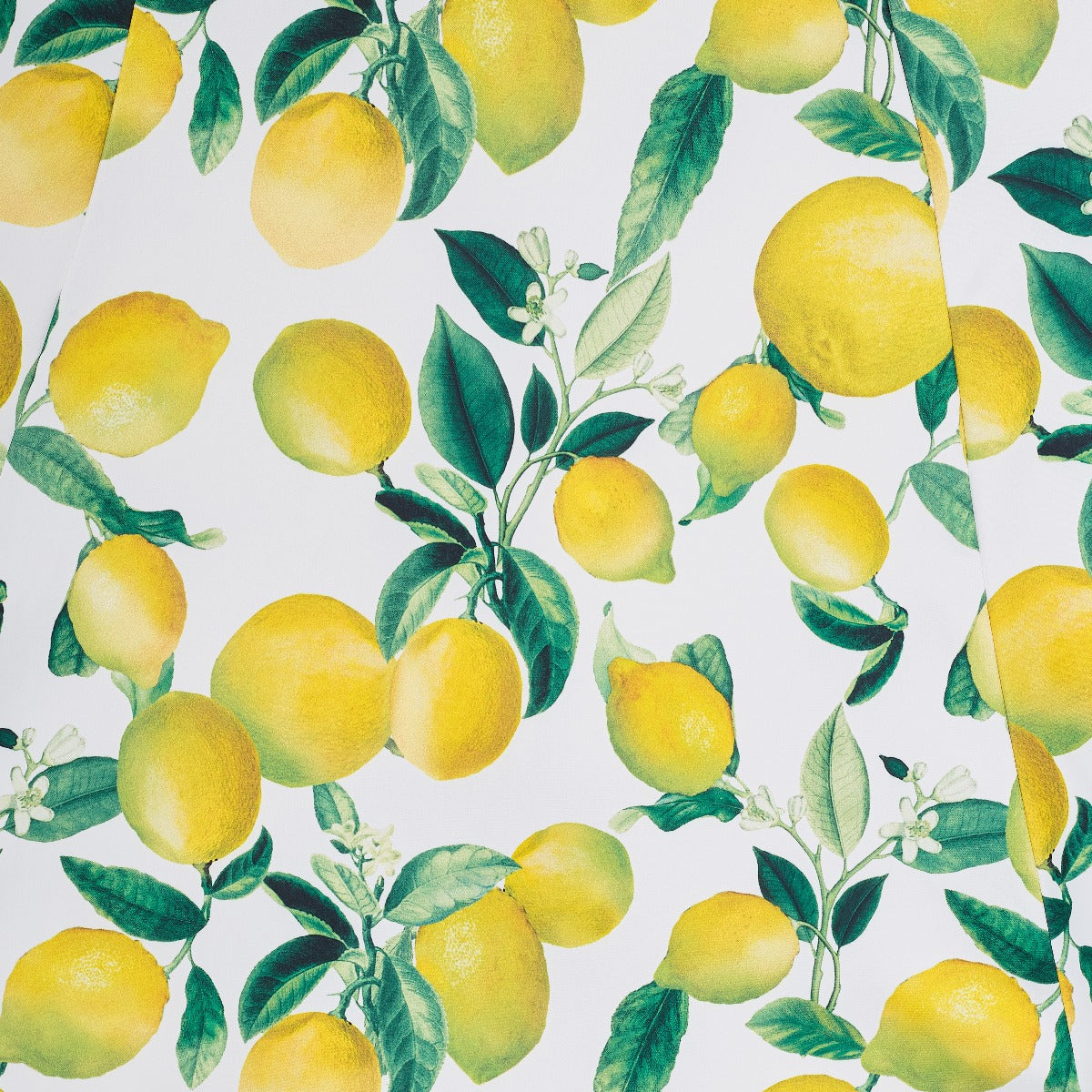 PRE ORDER Claudia Flirty Fifties Style Dress in White and Yellow Lemons