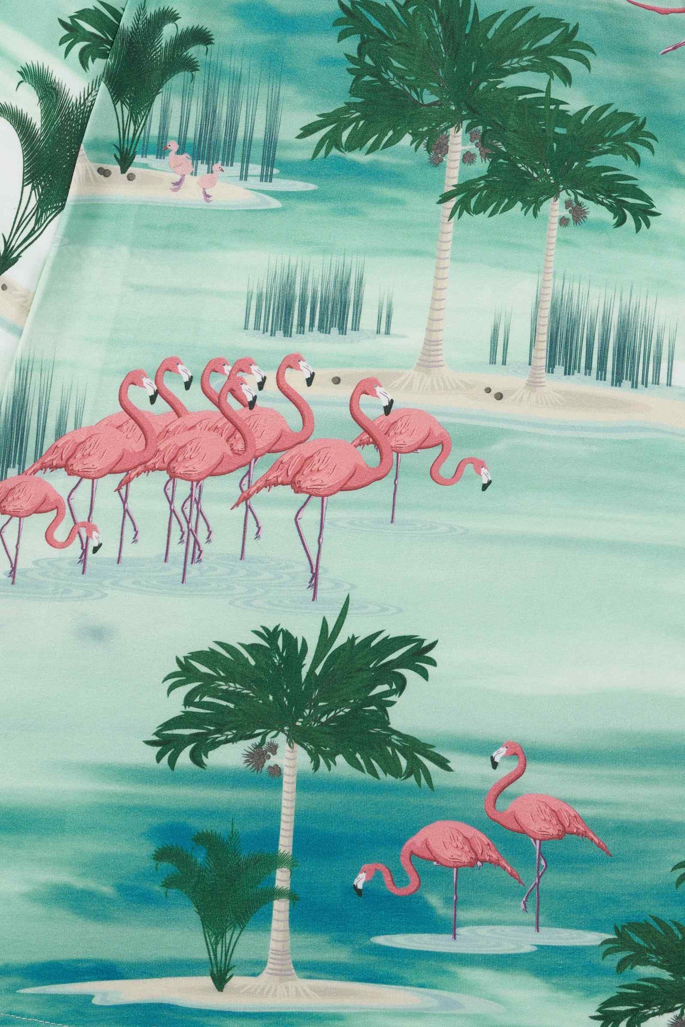 Claudia Flirty Fifties Style Dress in Green Island & Pink Flamingo