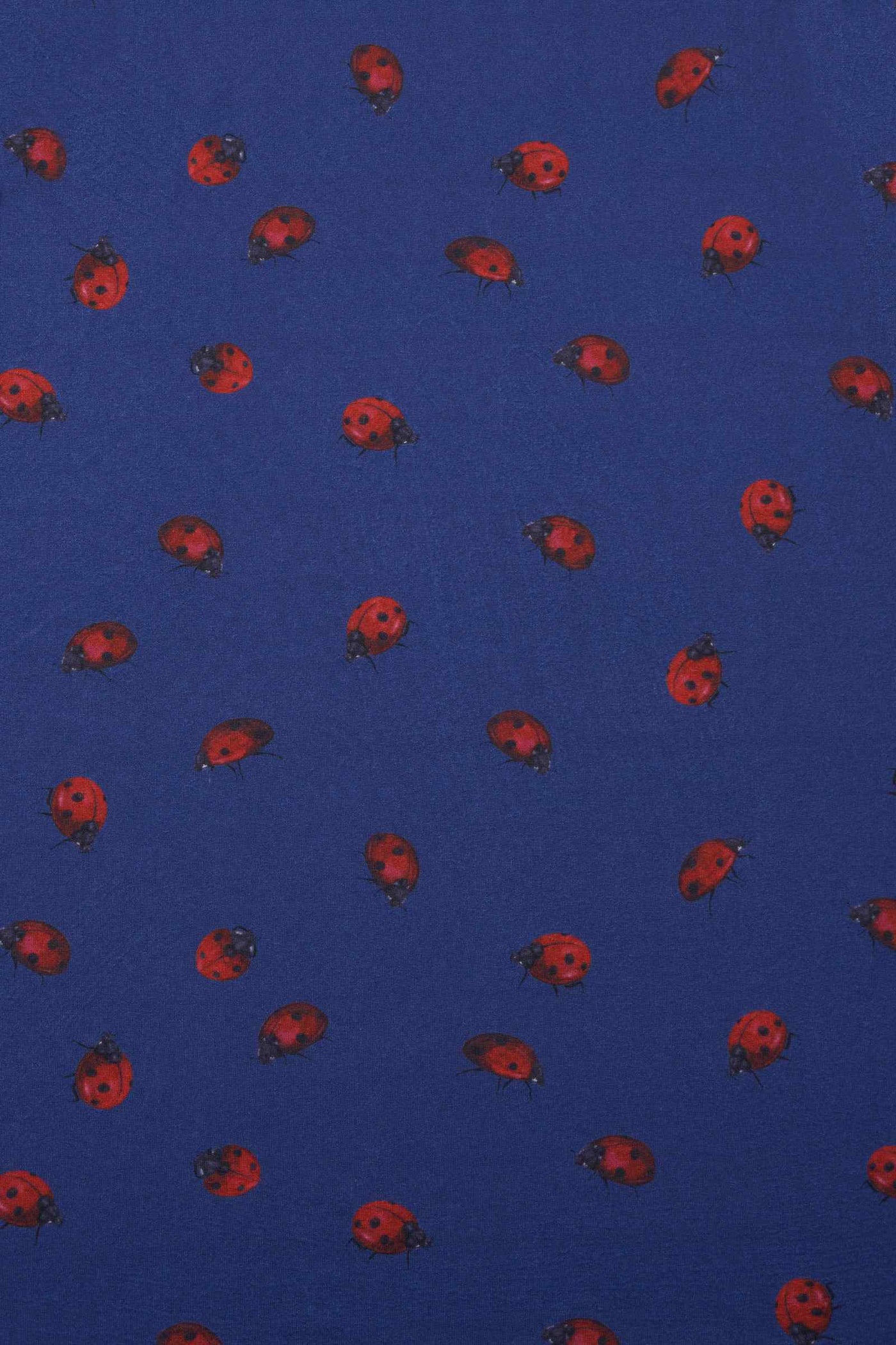 PRE ORDER Children Claudia Flirty Fifties Style Dress in Navy Blue & Lady Bug Print