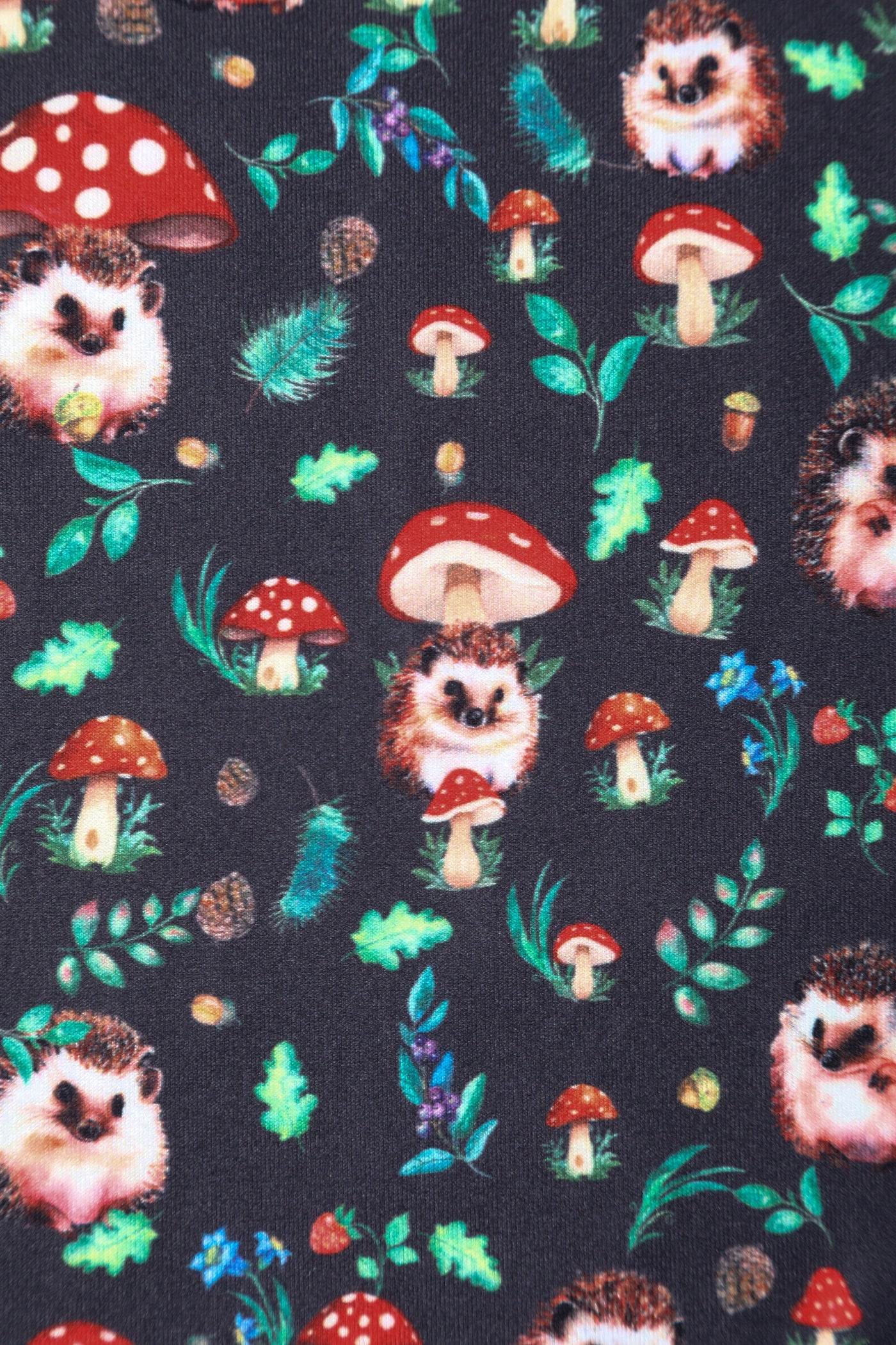 PRE ORDER Billie Black Hedgehog & Mushroom Print Dress