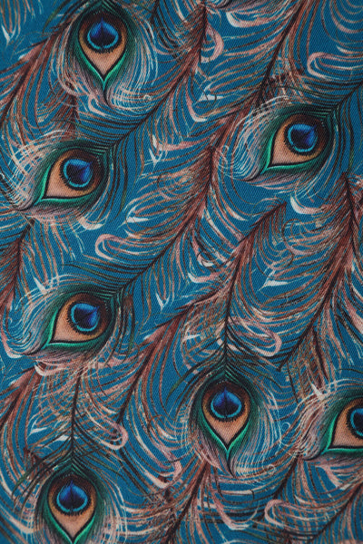 PRE ORDER Darlene 50's Style Swing Dress in Blue & Peacock Feather Print