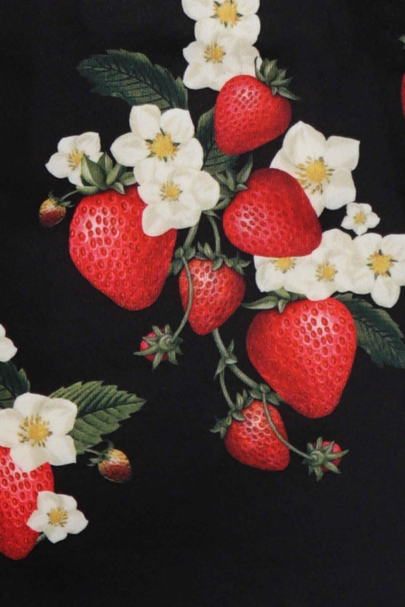 Lilian Off Shoulder Black Strawberry Top