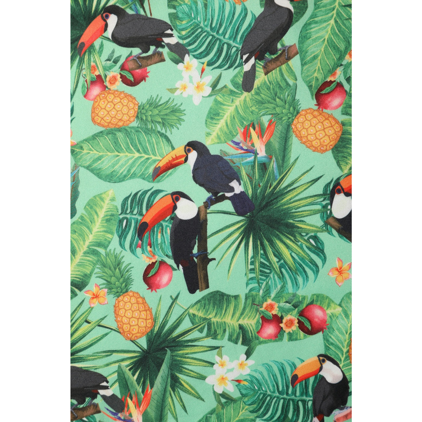Donna Petal Sleeved Dress in Tropical Green and Toucan Print