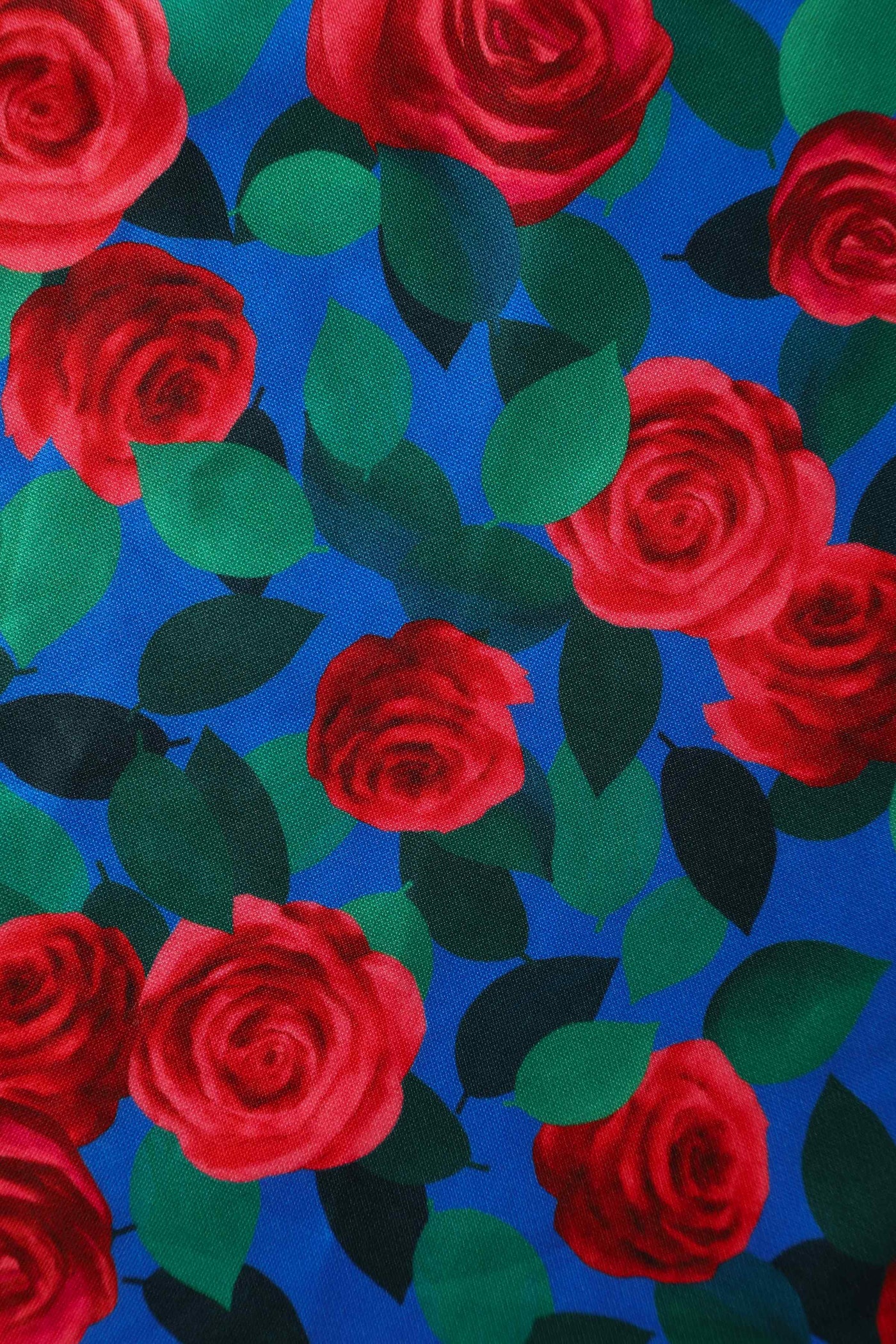 Scarlette Long Sleeves Stretchy Dress in Royal Blue & Red Roses Print