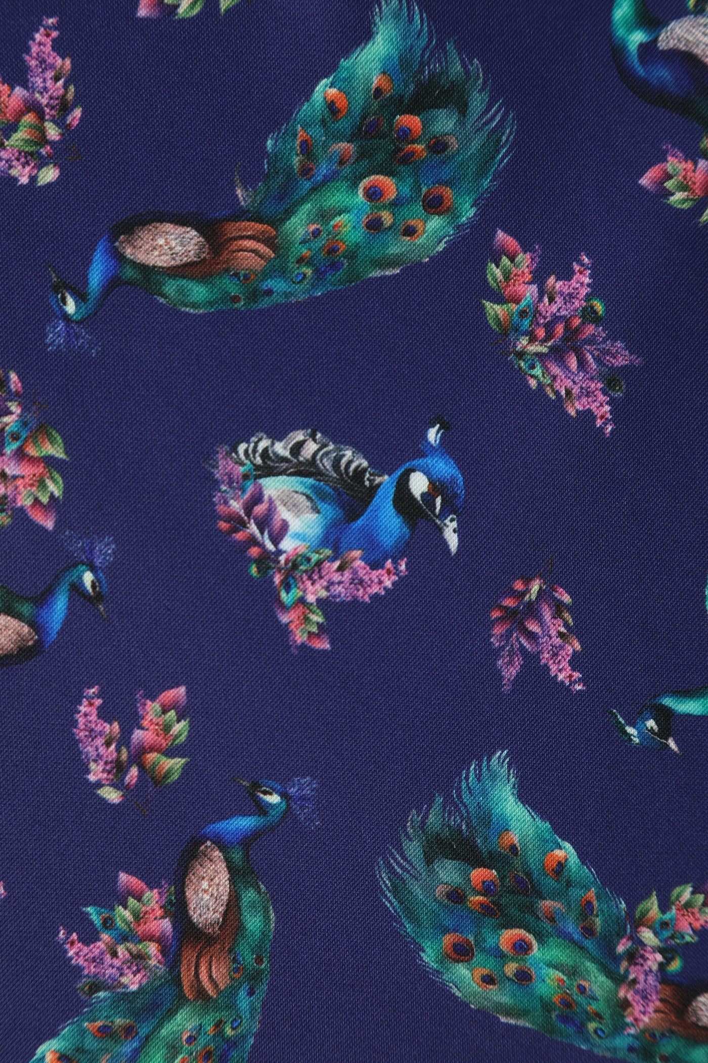 Scarlette Peacock in Purple Long-Sleeved Formal Dress