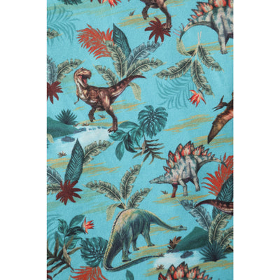 PRE ORDER Billie Long Sleeved Green Dinosaur Print Dress