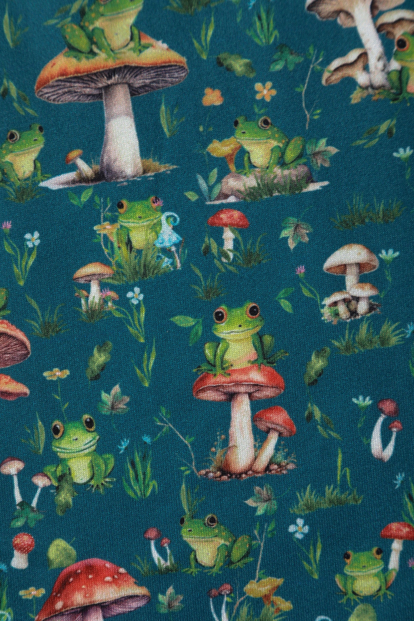 Billie Long Sleeved Dress in Green Frog & Mushroom Print