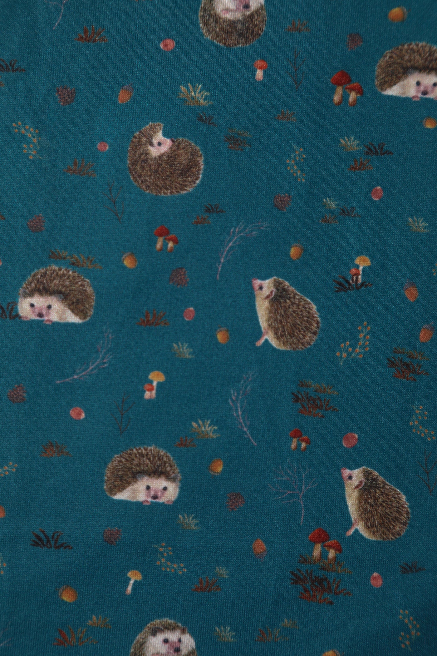 Billie Long Sleeved Dress in Green Hedgehog & Mushroom Print