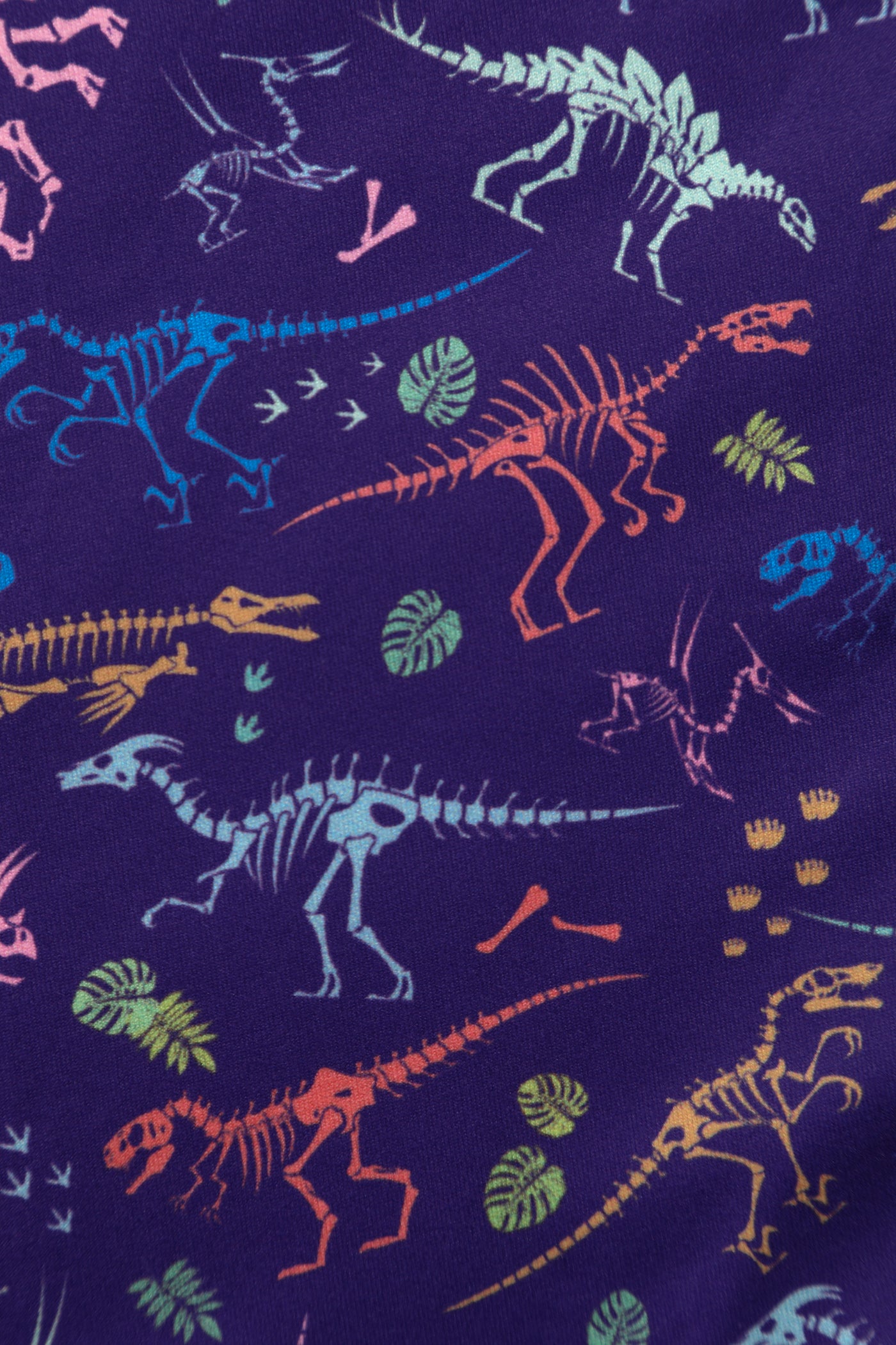 Billie Long Sleeved Dress in Purple Dinosaur Fossil Print
