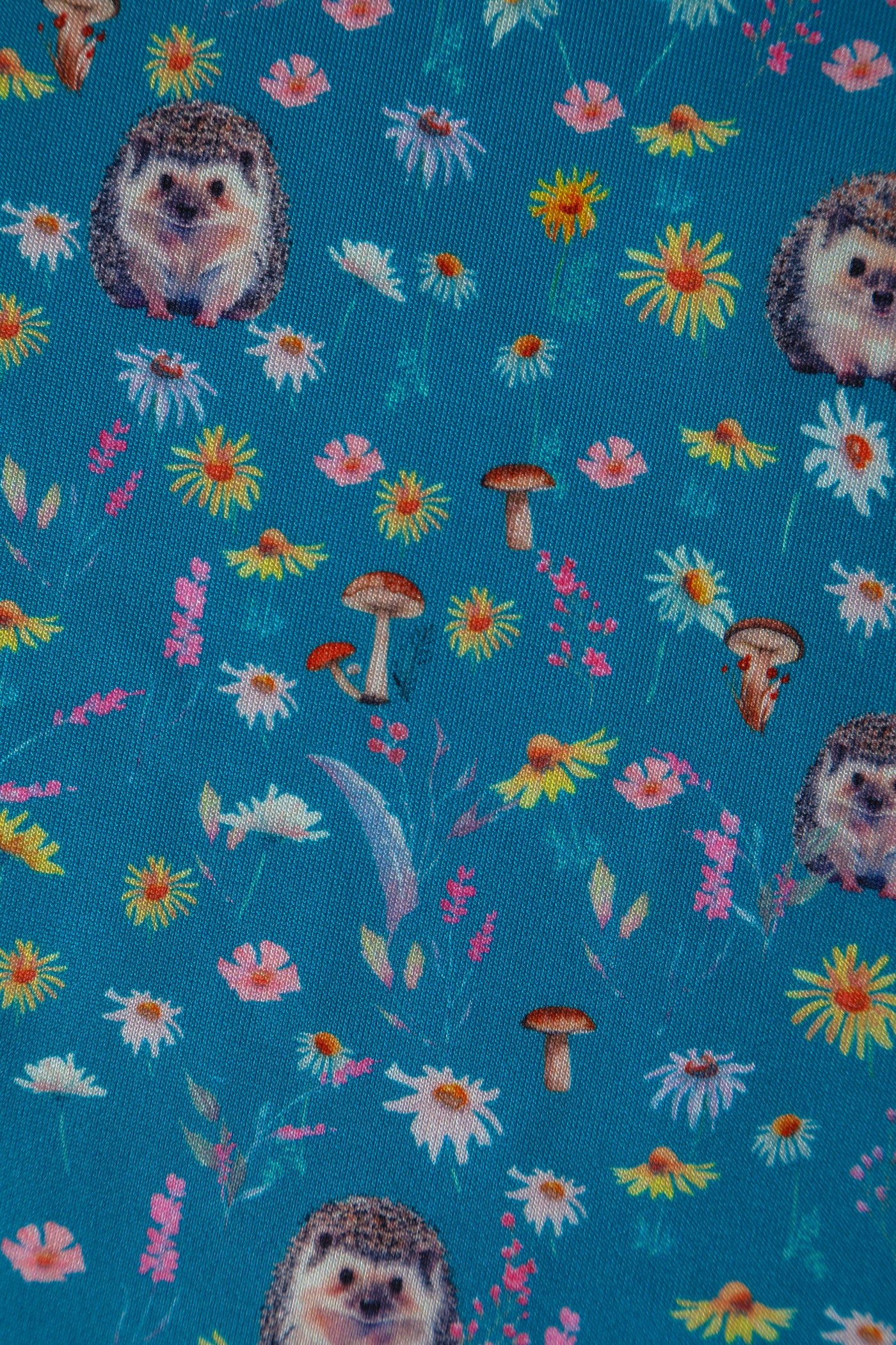 Lily Hedgehogs Blue Off Shoulder Dress
