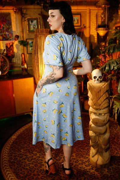 Janice Light Blue Dress with Lemons  and White Polka Dots