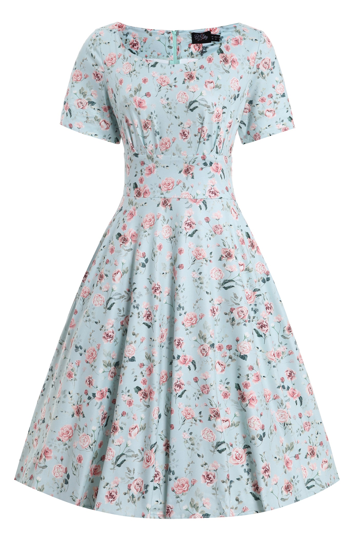 Brenda Pink Rose Flared Dress In Baby Blue