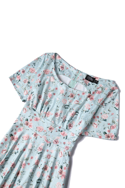 Brenda Pink Rose Flared Dress In Baby Blue