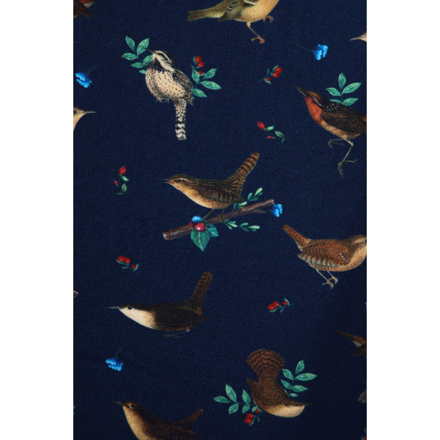 PRE ORDER Brenda Navy Blue with Bird Print Short-Sleeved Adorned Dress