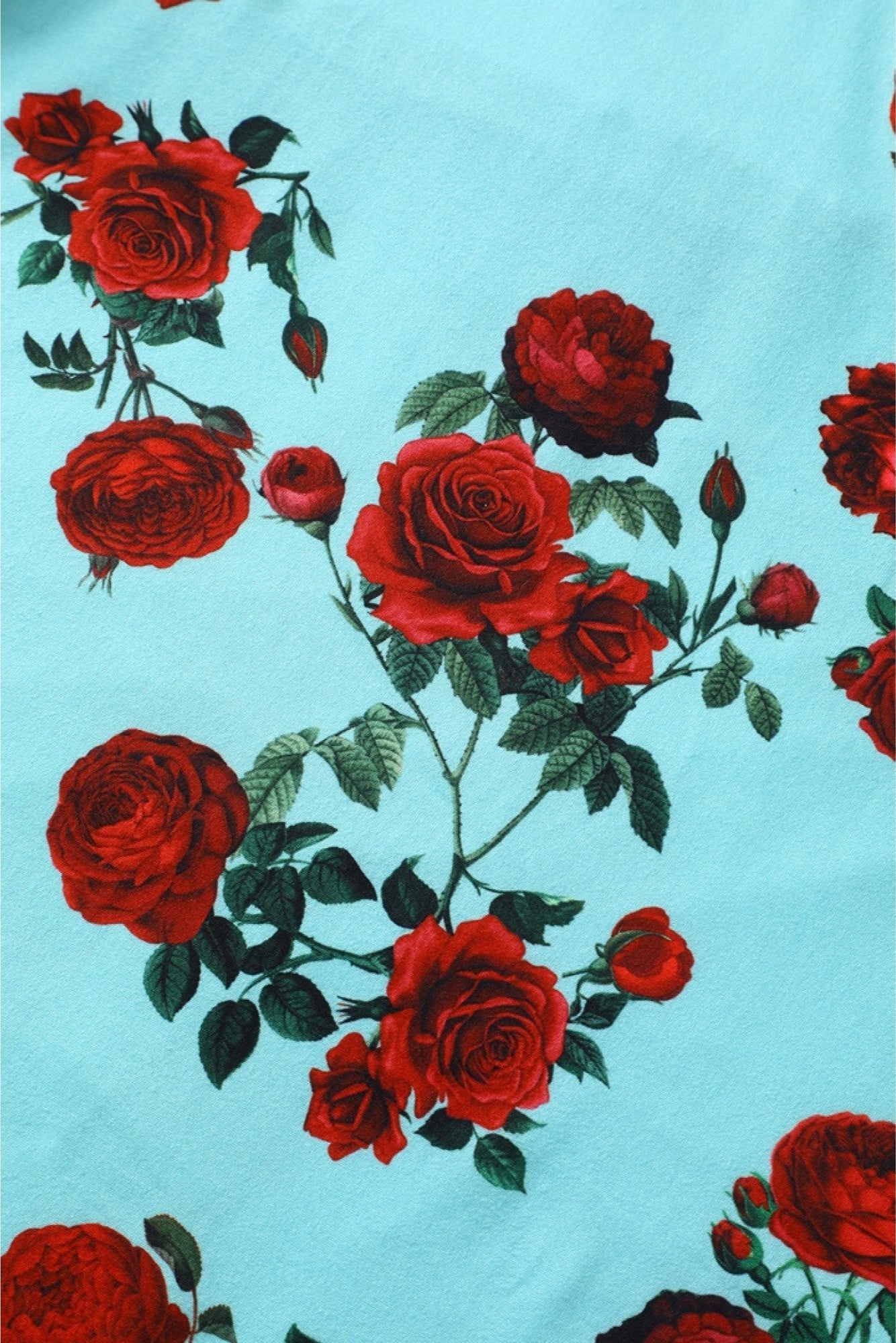 Julia Turquoise Rose Print Dress