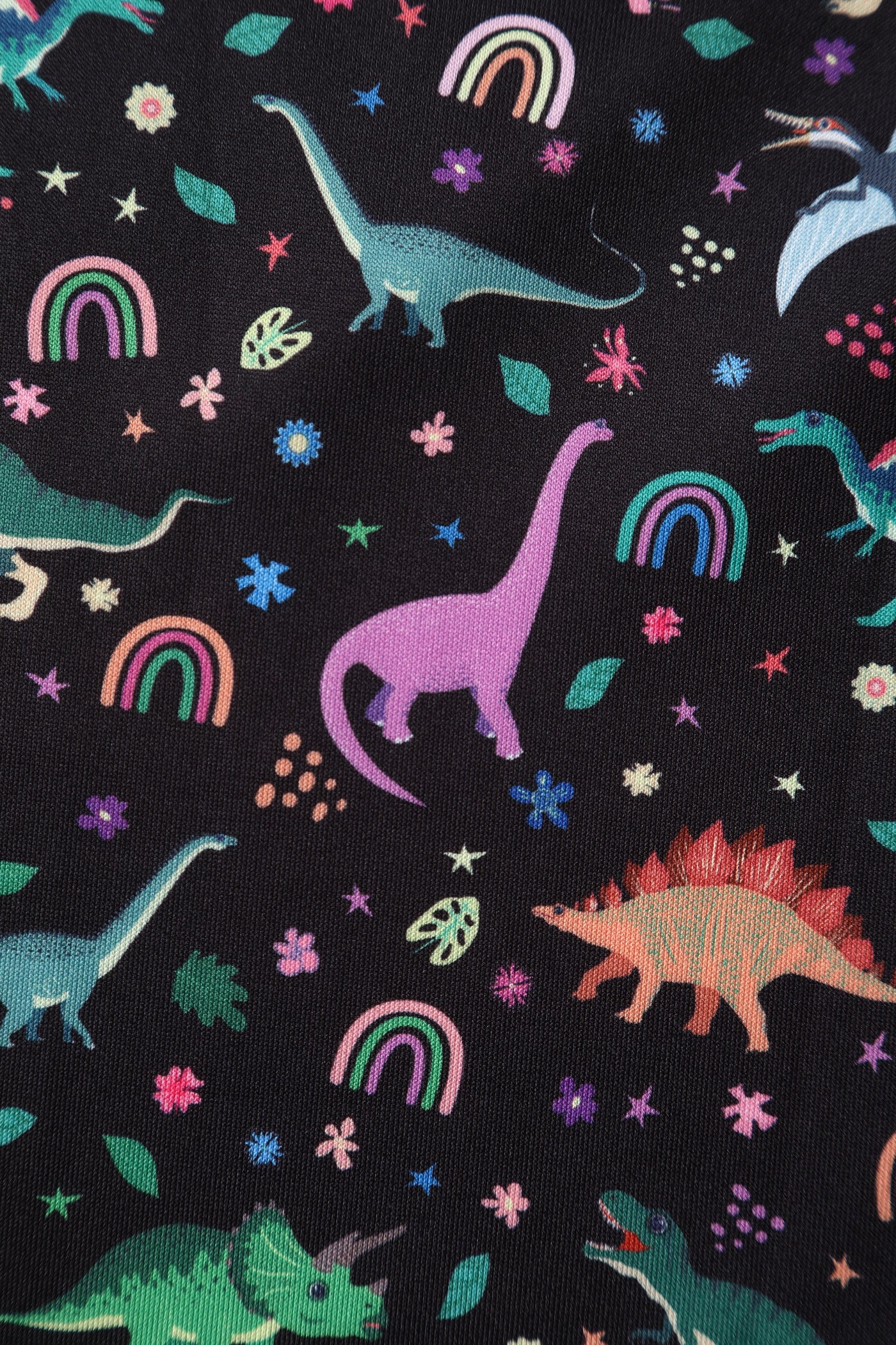 PRE ORDER Amanda Black Dinosaur Print Swing Dress
