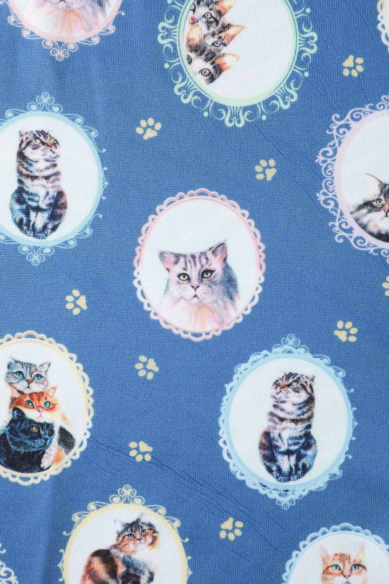 Amanda Swing Dress in Blue Cat