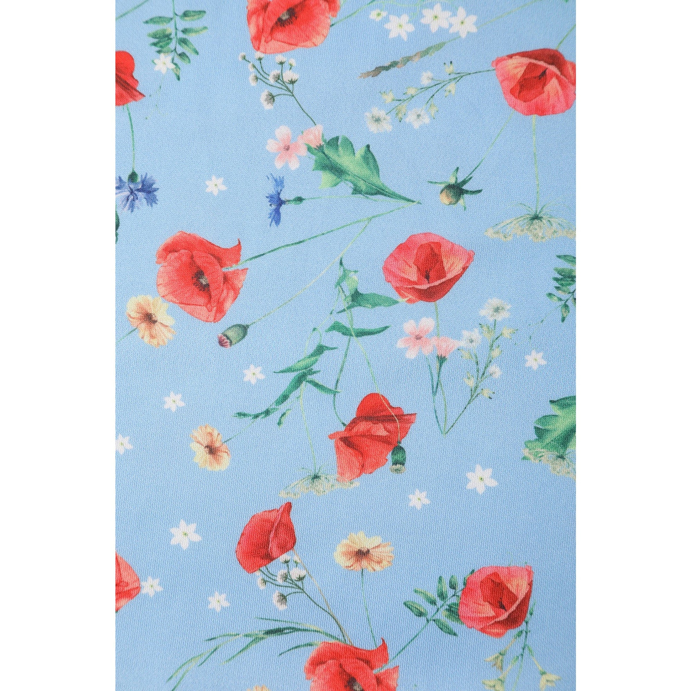 PRE ORDER Amanda Light Blue Poppy Swing Dress
