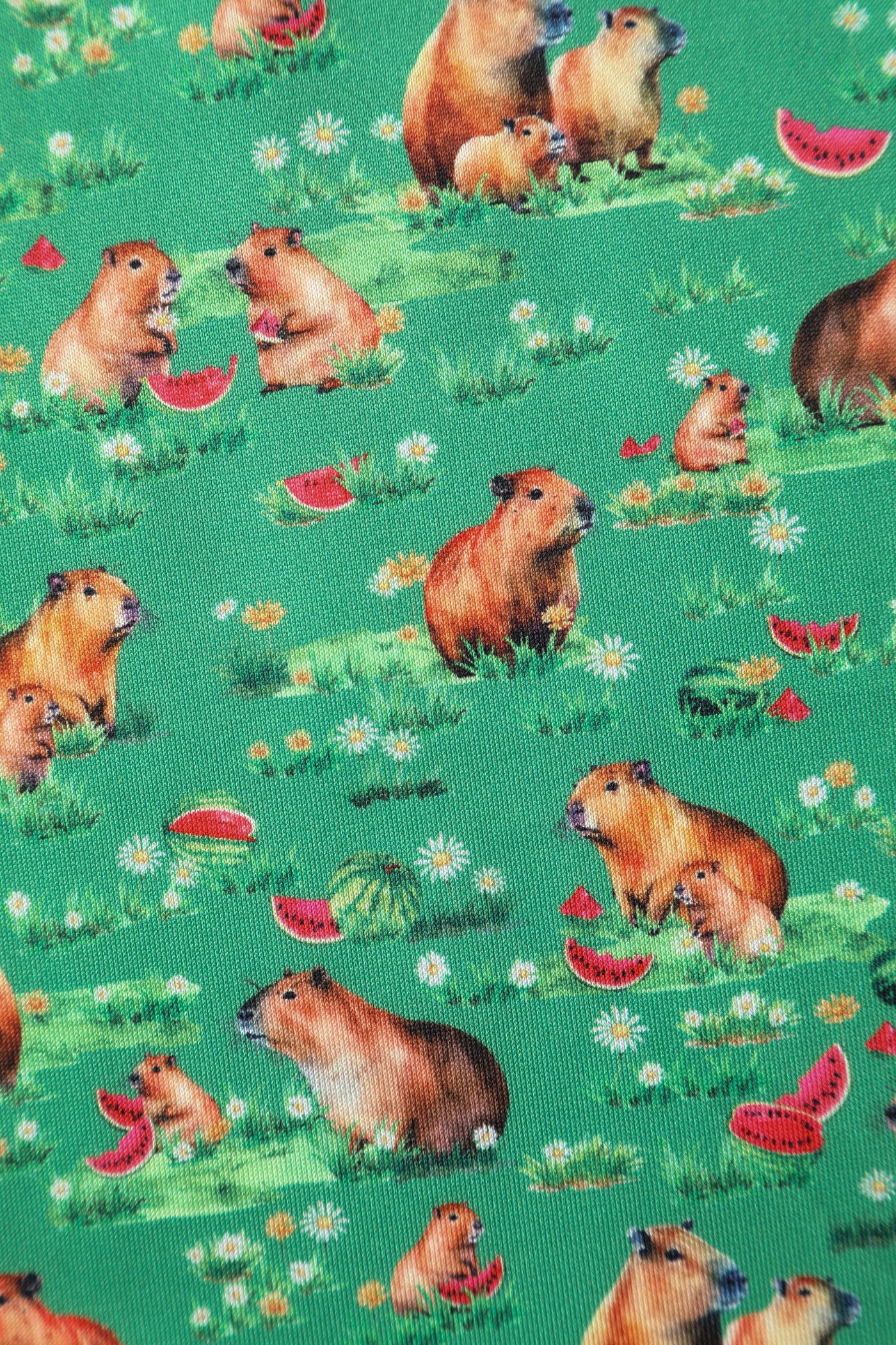 PRE ORDER Amanda Green Capybara & Watermelon Print Swing Dress