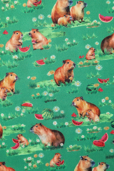 PRE ORDER Amanda Green Capybara & Watermelon Print Swing Dress