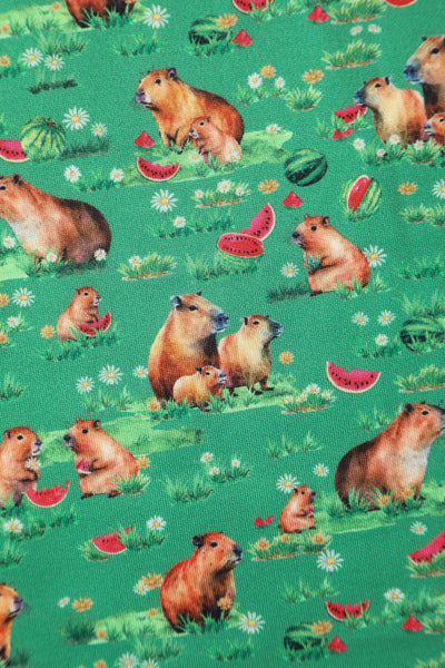 Amanda Green Capybara & Watermelon Print Swing Dress