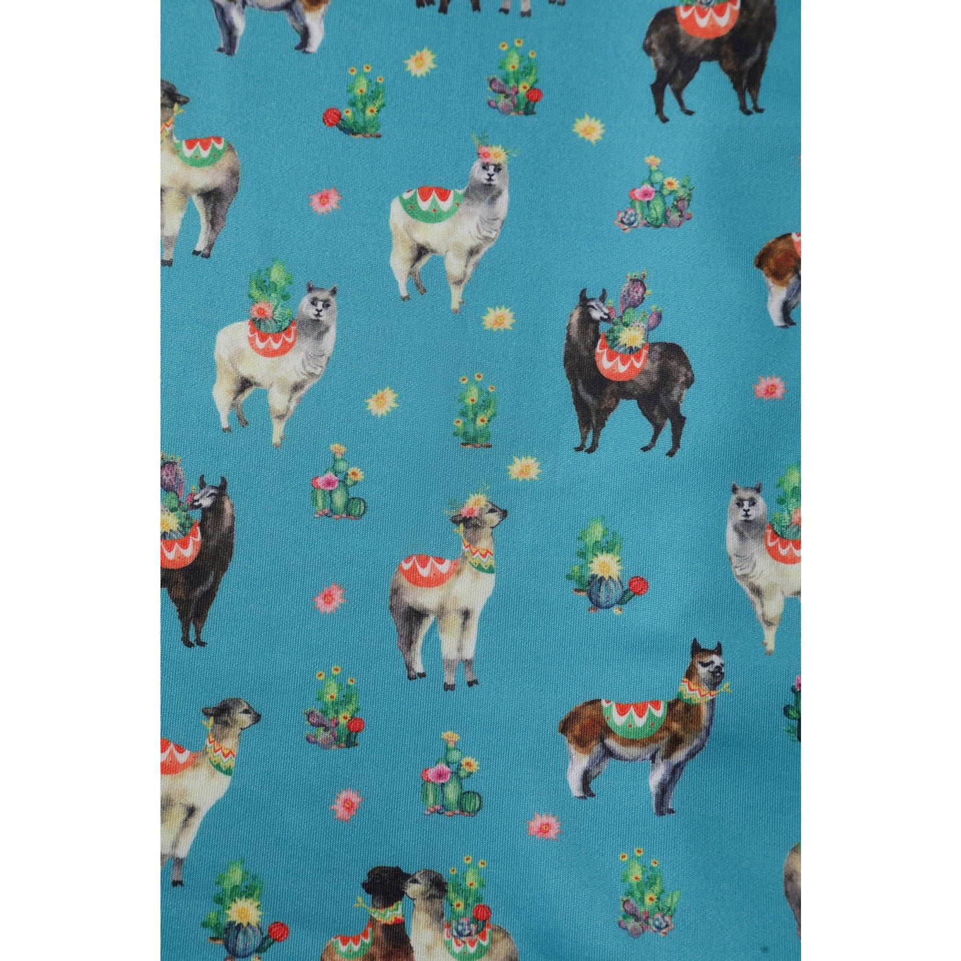 PRE ORDER Amanda Swing Dress in Turquoise Llama Print
