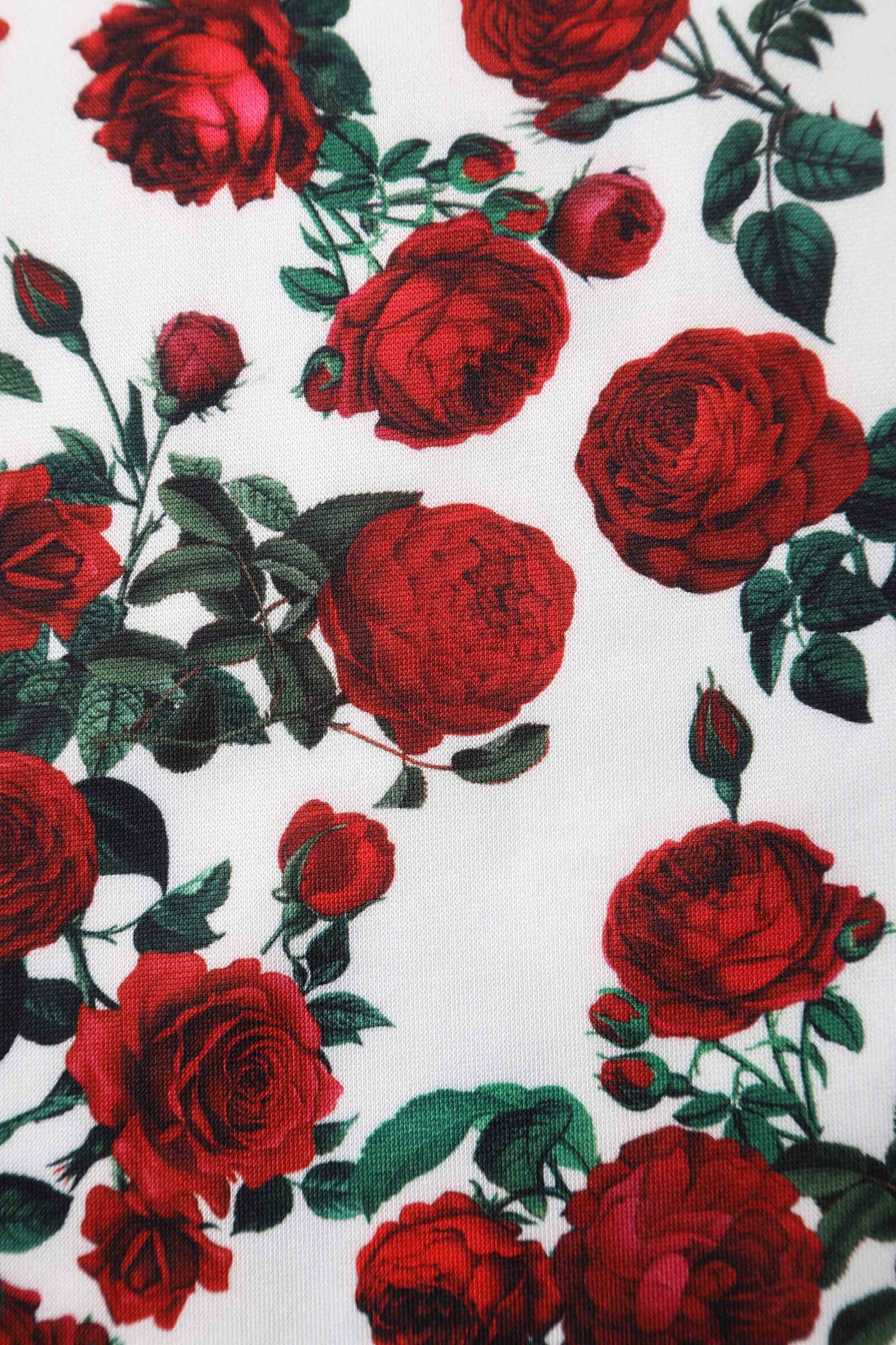 Amanda Cotton White Scoop Neck Red Rose Print Swing Dress