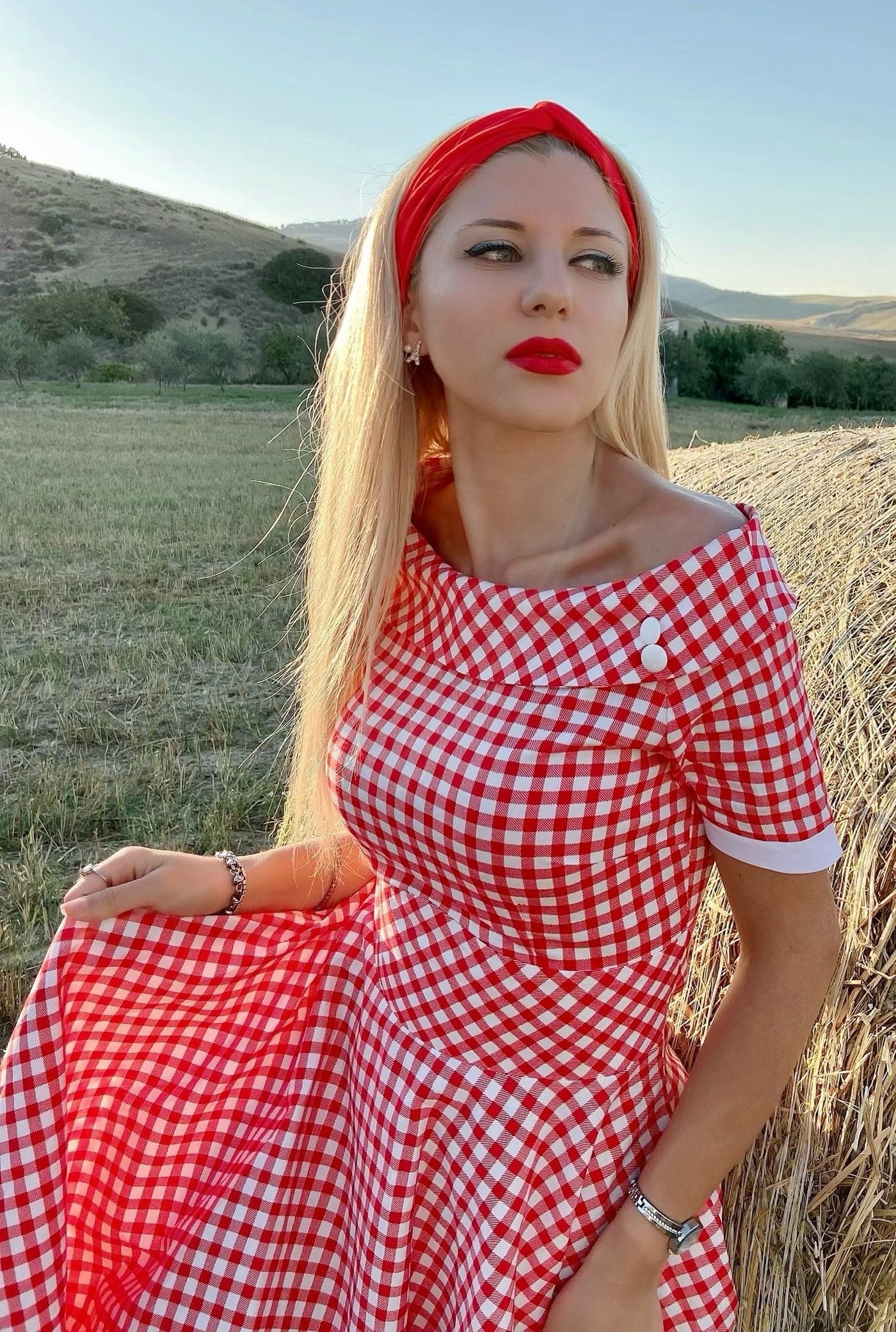 Woman's Retro Red Gingham Swing Dress