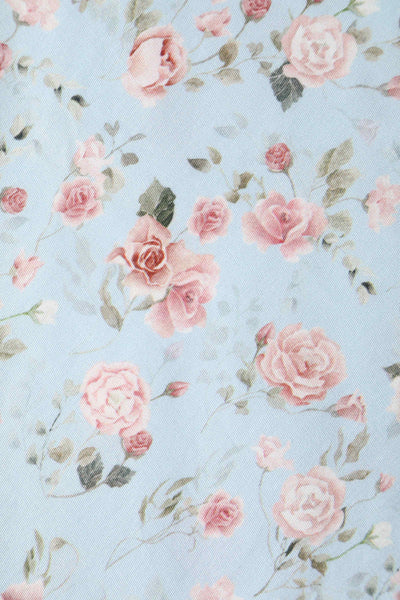 Close up View of Rose Pleated Bust Dress in Powder Blue and Pink