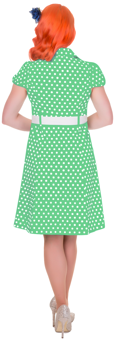 Zelda Vintage Shirt Day Dress in Light Green