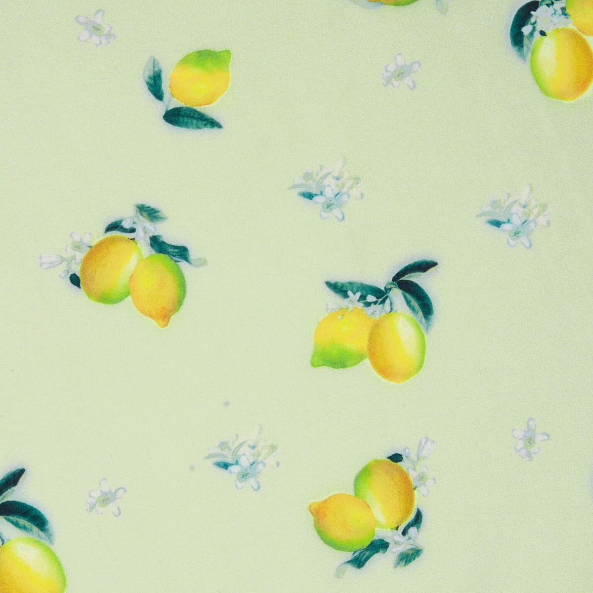 Classic Button Up Strappy Lemon Print Summer Dress in Light Green
