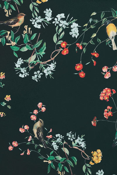 Amanda 50s Inspired Flared Swing Dress Black Birds & Leaves